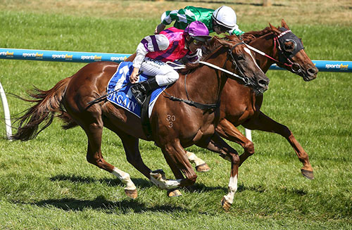 EXFLYTATIONS TOUGH DEBUT WIN..